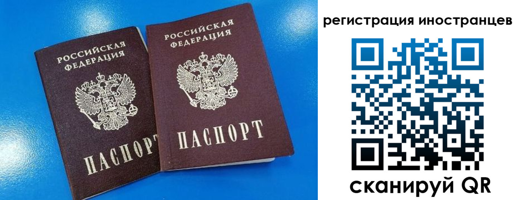 временная регистрация поиск в Волгограде