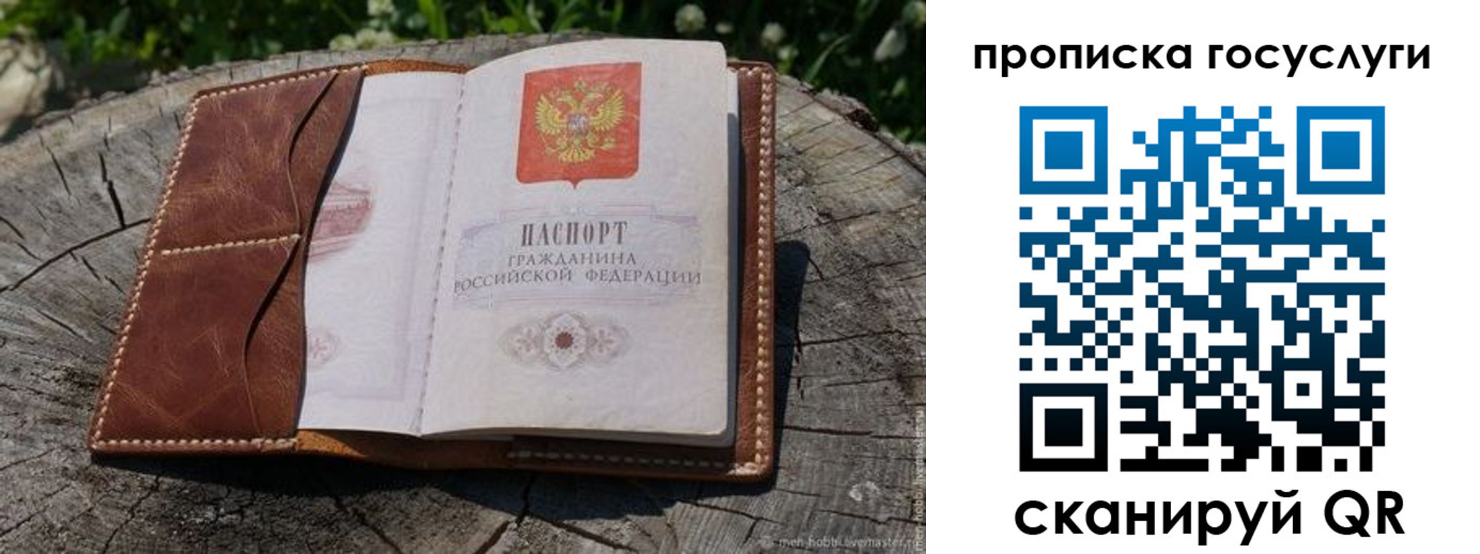 прописка для школы в Волгограде